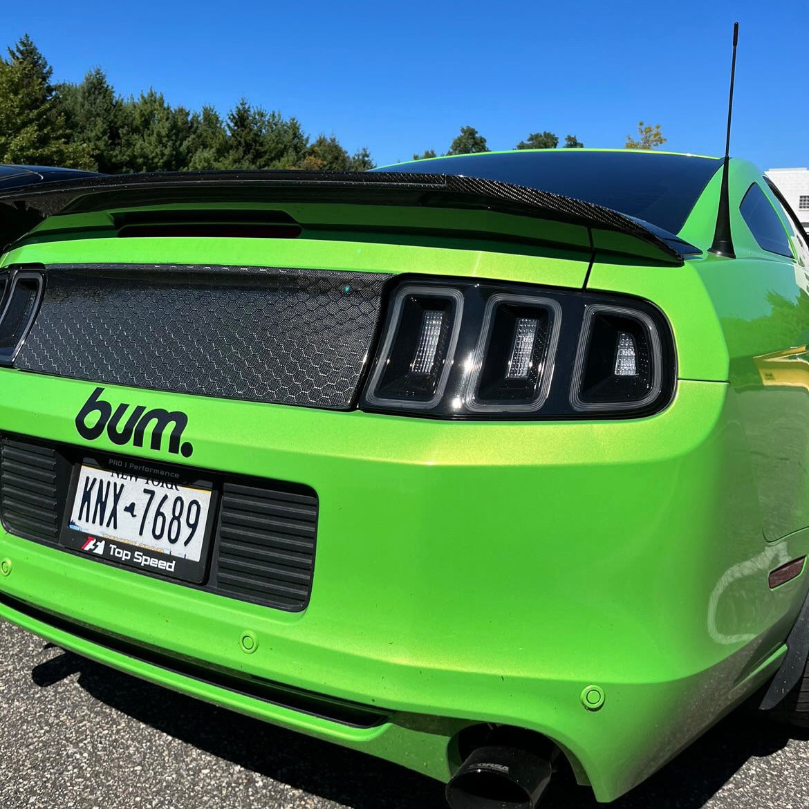(2010'-2014') Mustang Carbon Fiber Smooth Decklid Panel Replacement