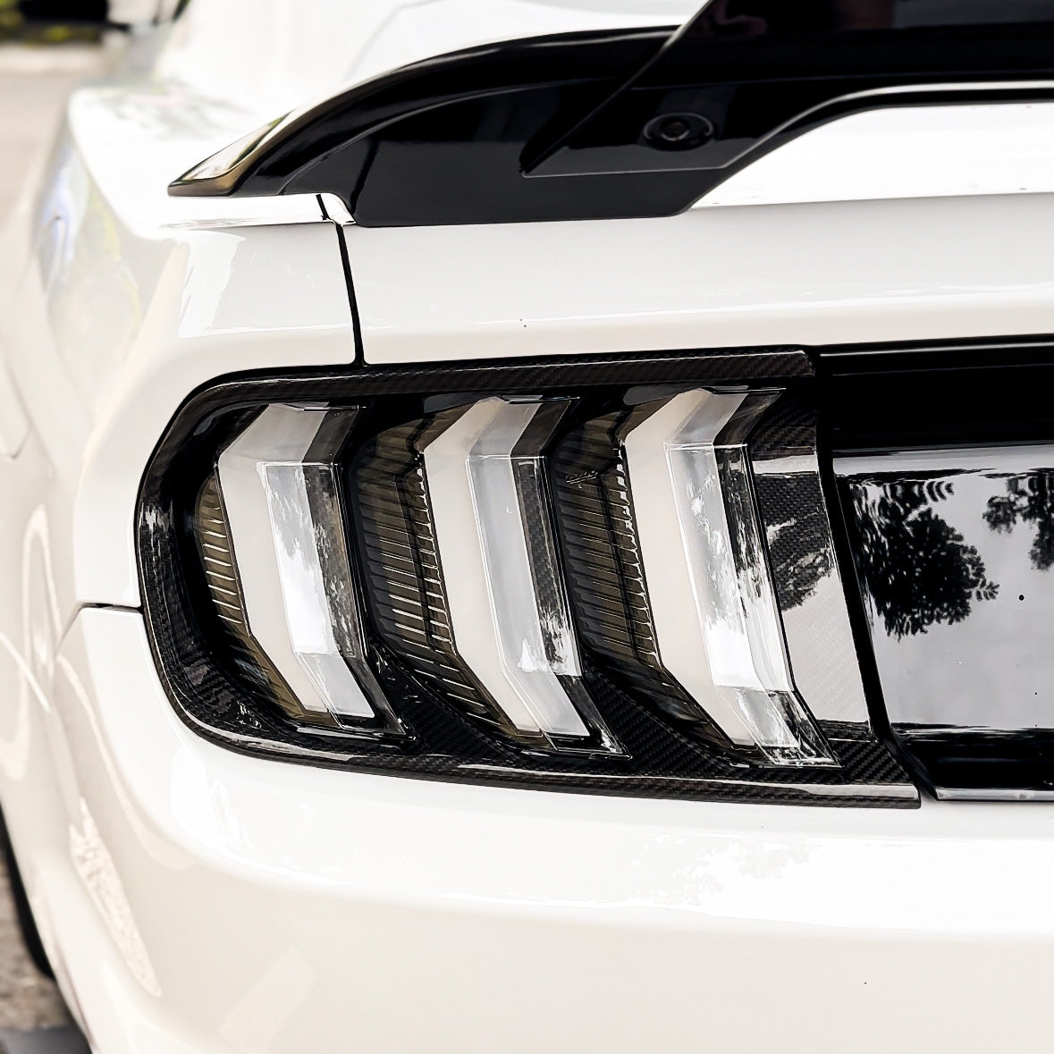 Carbon Fiber Taillight Trim Set for Mustang S550 (15'-23')