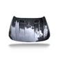 Carbon Fiber Dual Intake Hood for 10th Gen Honda Accord