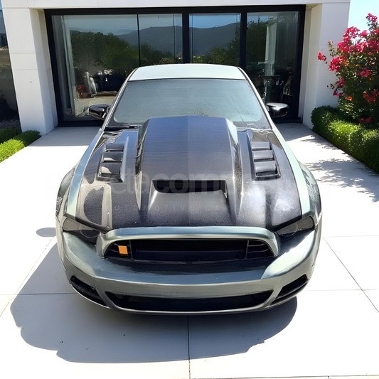 2013-2014 Mustang Carbon Fiber Termi Style Hood