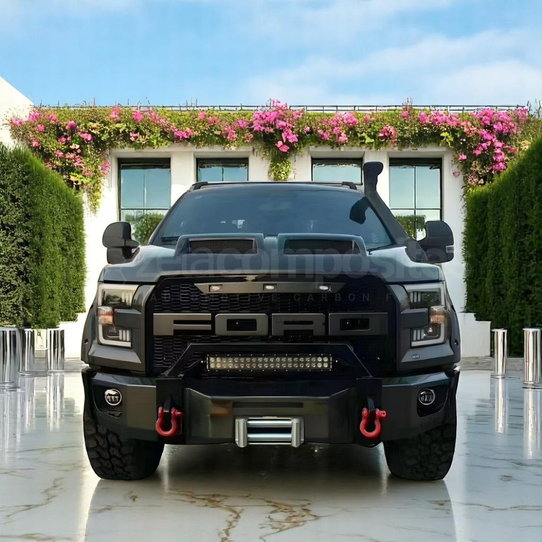 2015-2020 F150 Shelby Carbon Fiber Hood