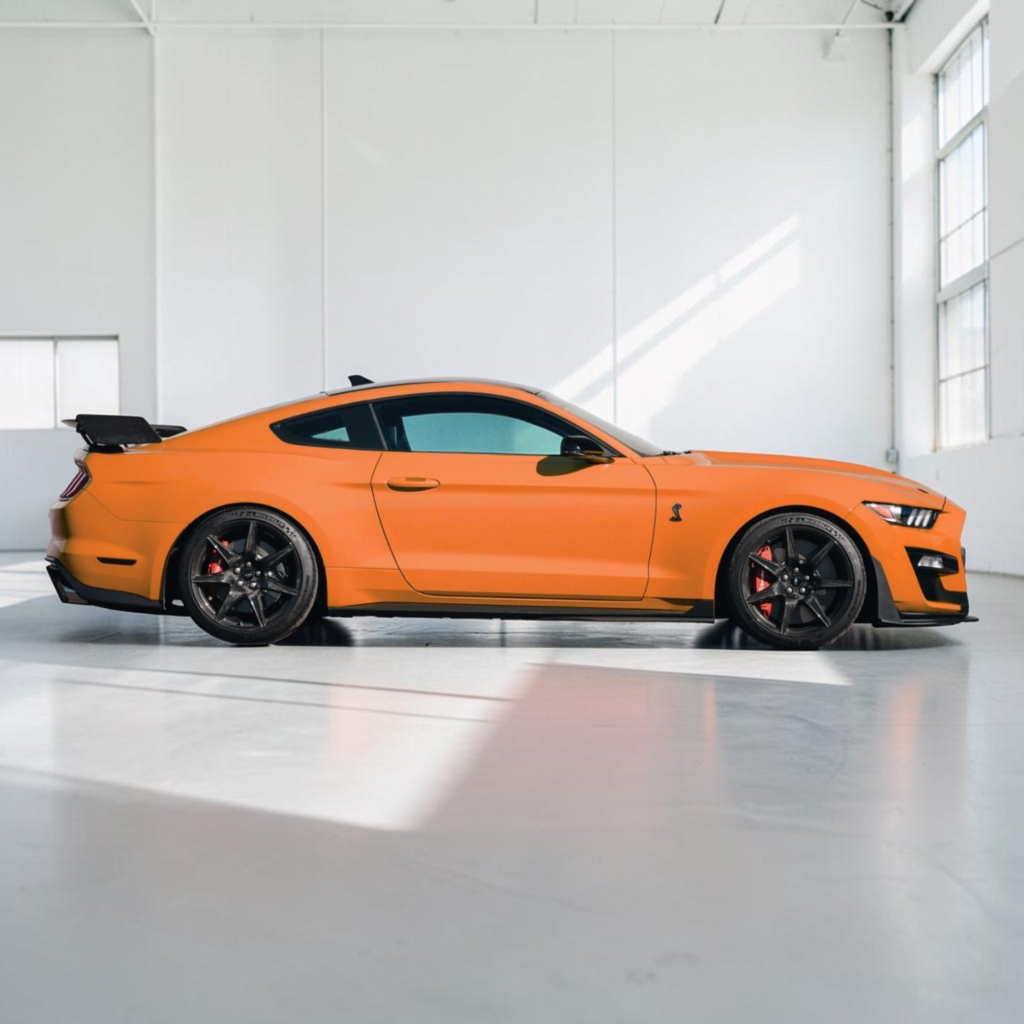 (2015'-2023') Mustang Carbon Fiber Gt500 Track Pack Spoiler