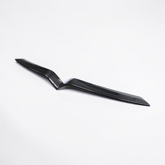 Model X Carbon Fiber Grille Insert