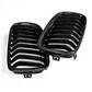 BMW F30 / 3 Series Carbon Fiber Grilles V1