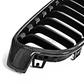 BMW F30 / 3 Series Carbon Fiber Grilles V1