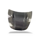 Tesla Model 3 / Y Carbon Fiber Canard Style Hood