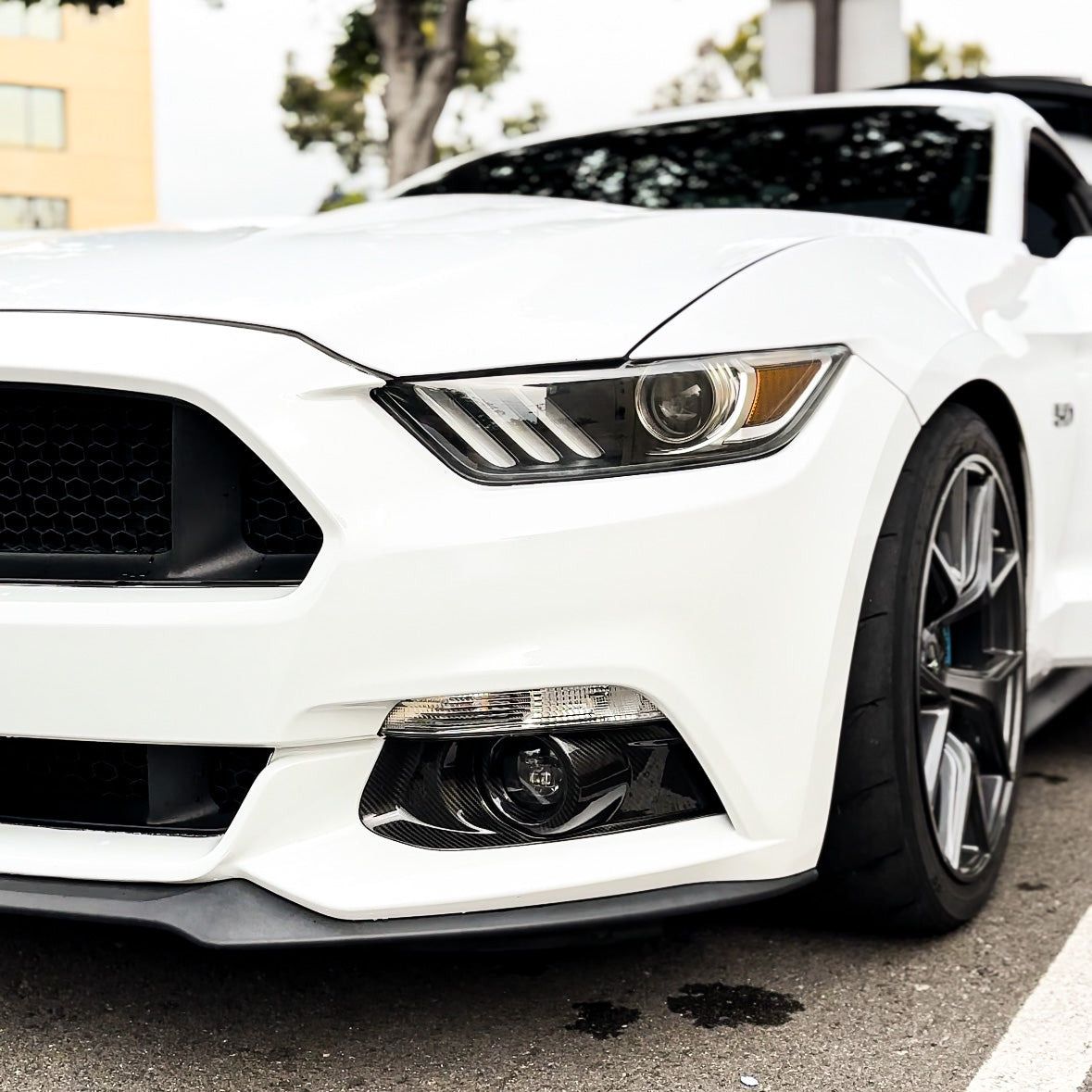 2015-2017 Mustang Carbon Fiber Fog Light Bezel Inserts