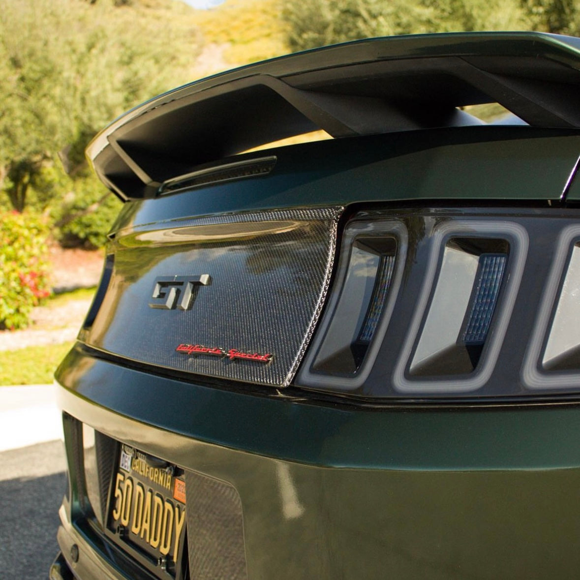 Mustang Smooth Decklid Panel Carbon Fiber S197 2010-2014